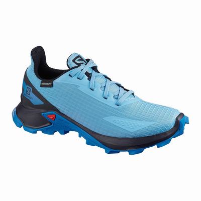 Salomon ALPHACROSS BLAST CLIMASALOMON™ WATERPROOF - Lasten Polkujuoksukengät - Sininen/Laivastonsini